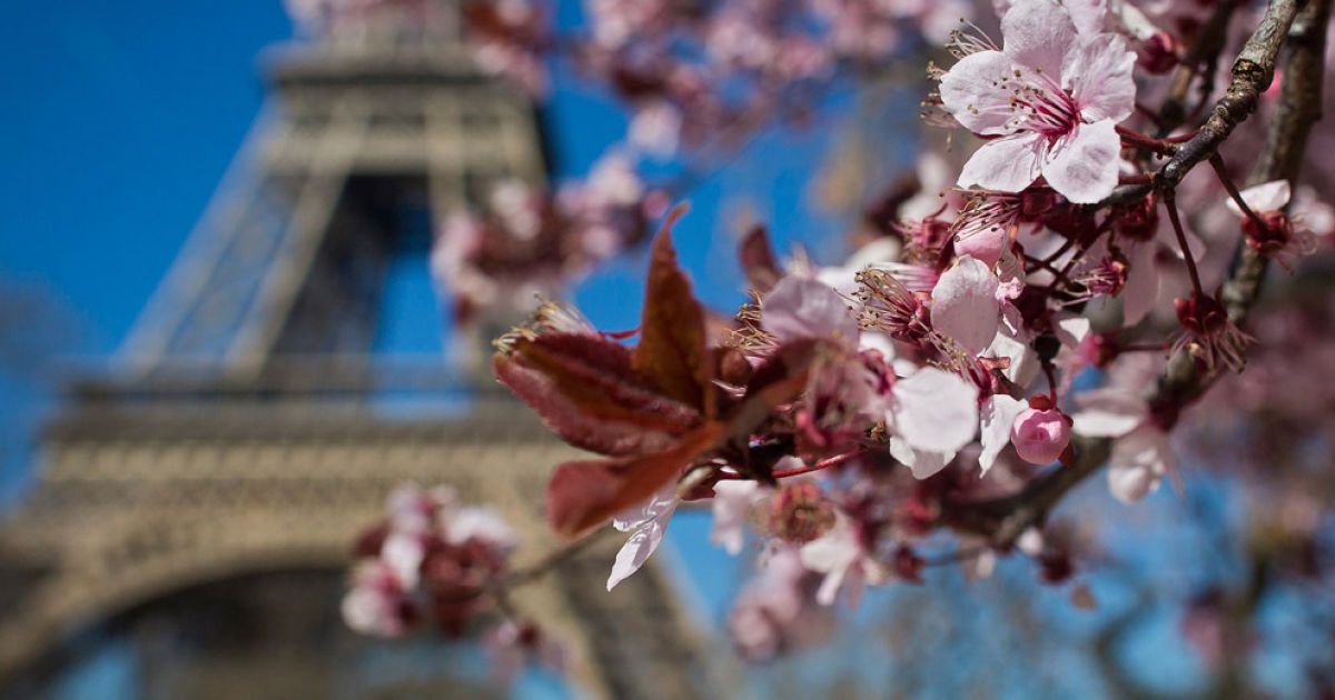 ac6854e02c9df505b4d8661956d93c1a-1