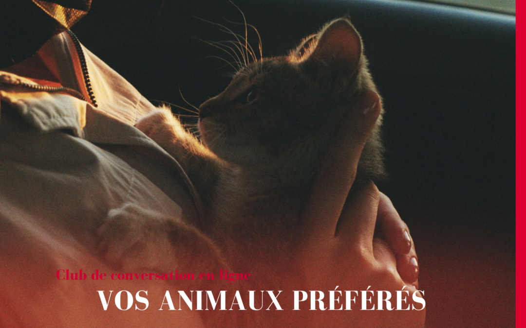 Розмовний клуб онлайн “Vos animaux préférés” 25/02 19:00